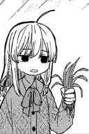 伊蕾娜小姐可爱捏